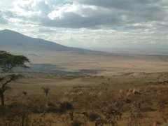 01-View of the Serengeti from the Ngorongoro crater